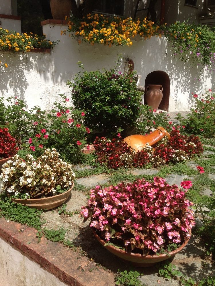 Mediterraneo Bed & Breakfast Anacapri  Dış mekan fotoğraf