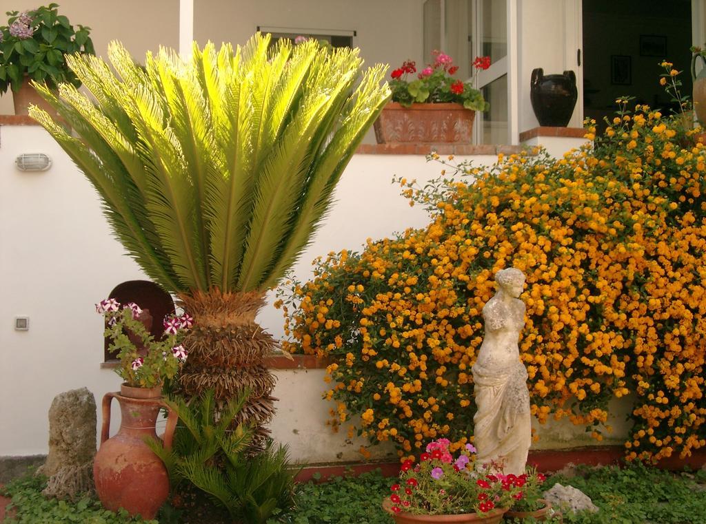 Mediterraneo Bed & Breakfast Anacapri  Dış mekan fotoğraf