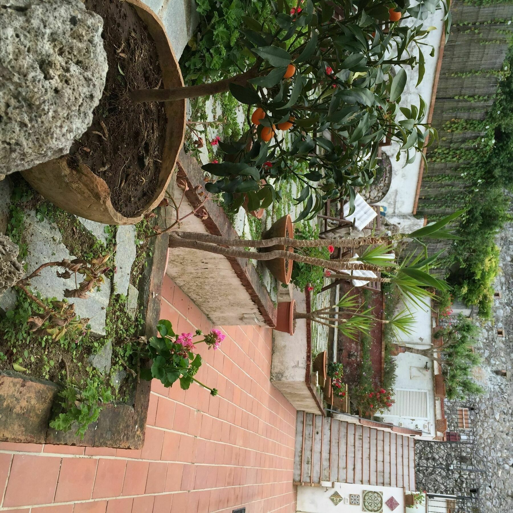 Mediterraneo Bed & Breakfast Anacapri  Dış mekan fotoğraf