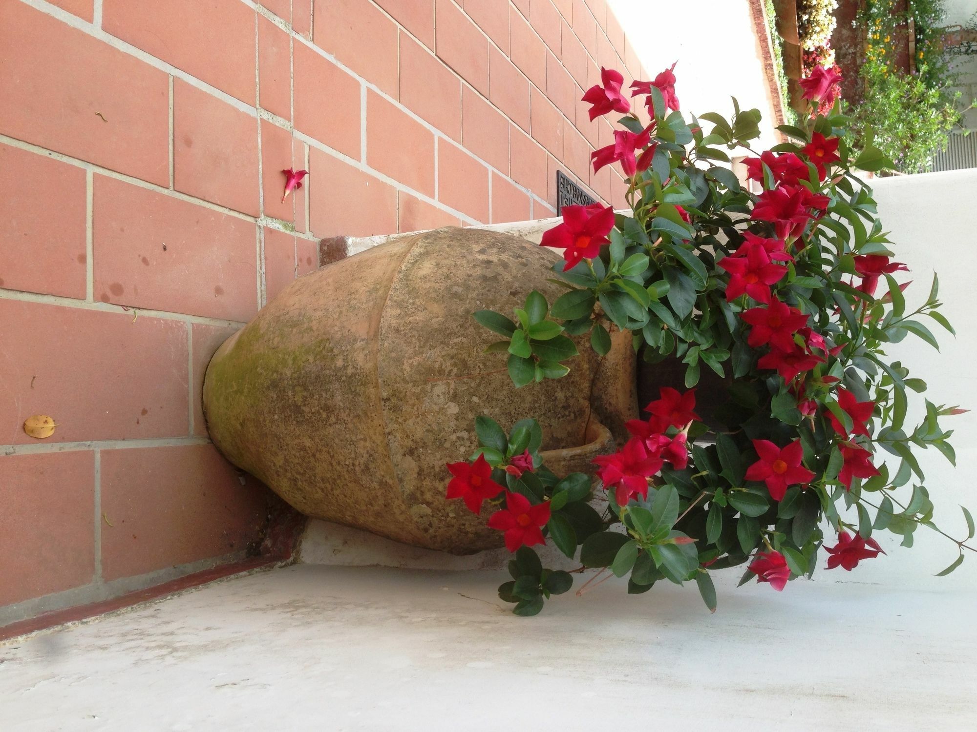 Mediterraneo Bed & Breakfast Anacapri  Dış mekan fotoğraf